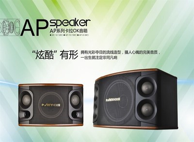 派對屋AP系列卡拉OK音箱_聊城音響_聊城雷石點歌系統(tǒng)_聊城寶迪奧音響_聊城市匯聲音響設(shè)備